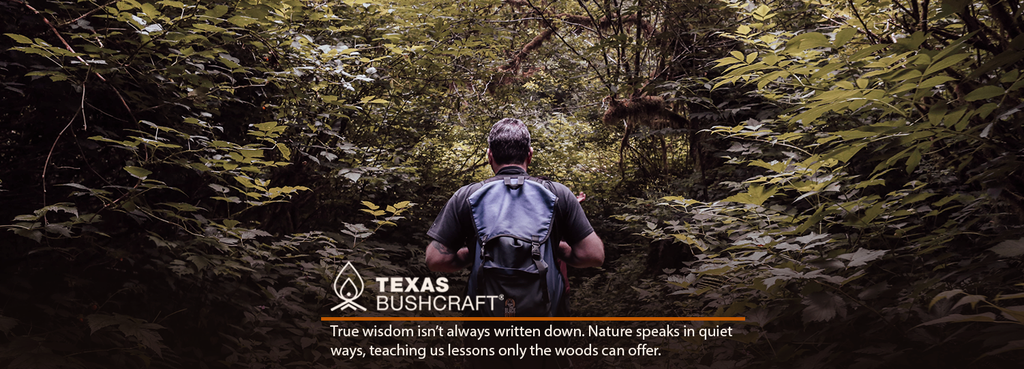 Wisdom in the Woods, What Nature Can Teach Us Beyond Books